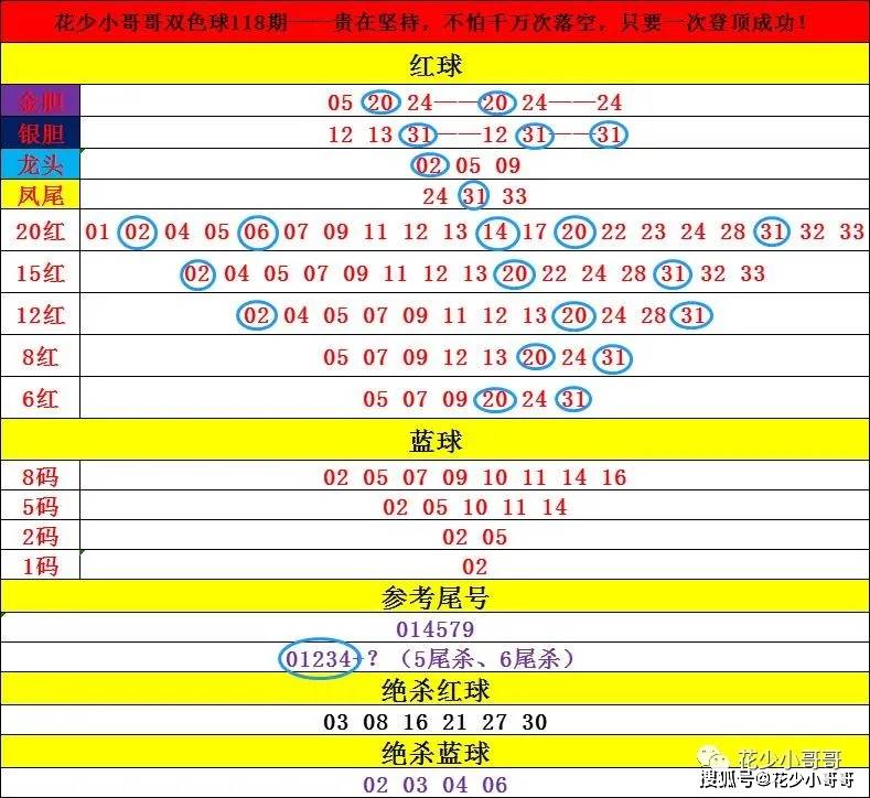 2024年天天彩资料免费大全,细致解读解答解释执行_电子款0.125